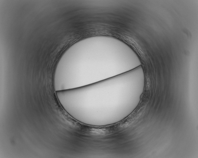 X0000111900457200908101143