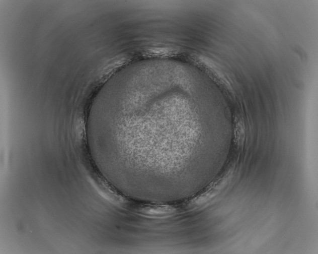 X0000111900459200908101144