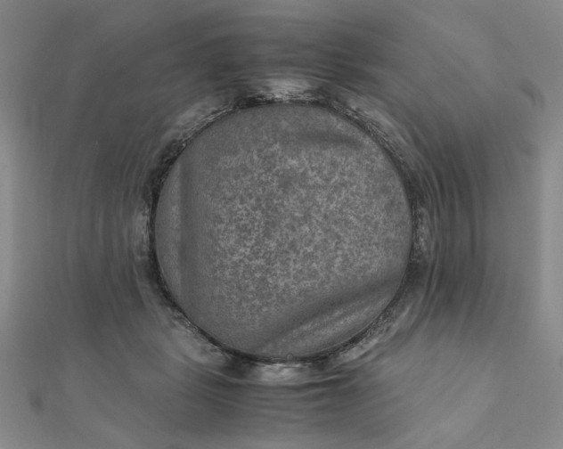 X0000111900461200908101144