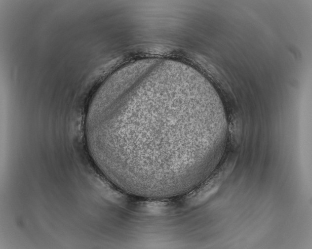 X0000111900462200908101144