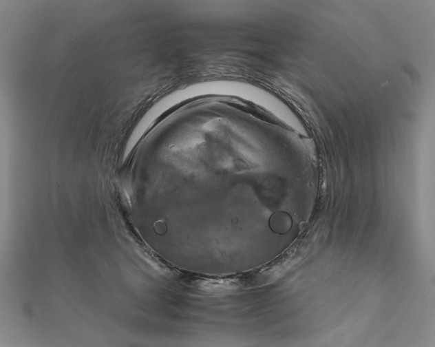 X0000111900465200908101144