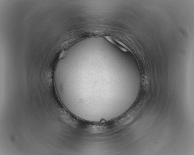 X0000111900466200908101144