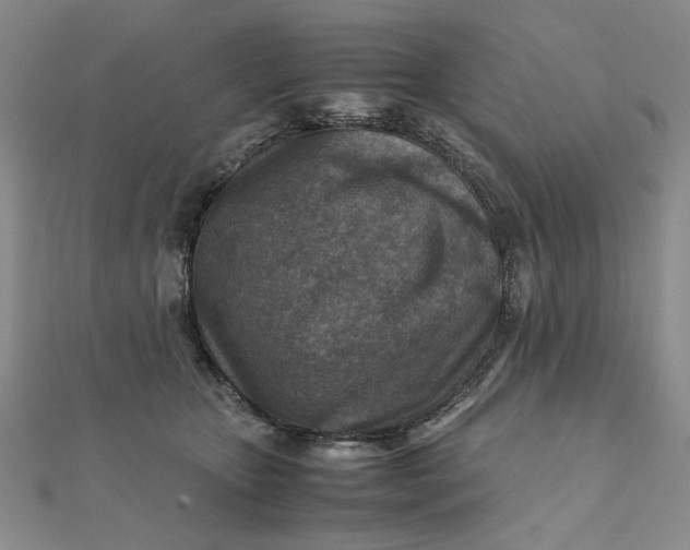 X0000111900467200908101144