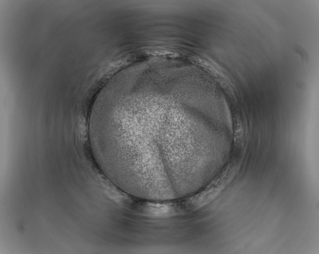 X0000111900469200908101144