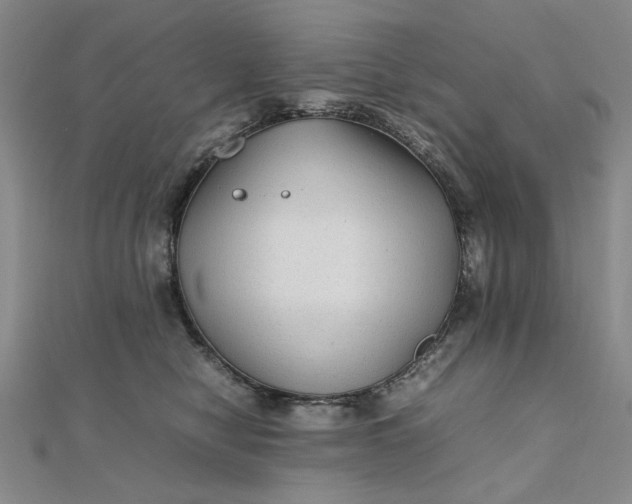 X0000111900470200908101144