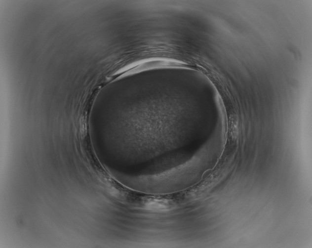 X0000111900471200908101144