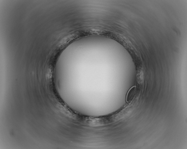 X0000111900472200908101144