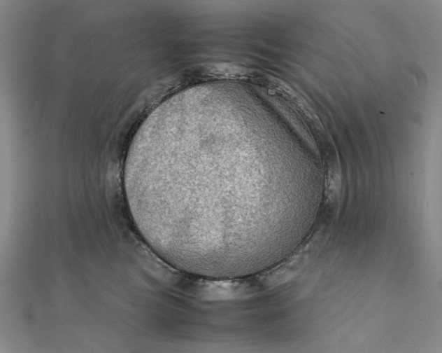 X0000111900473200908101144