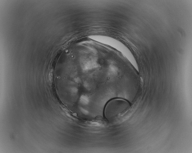 X0000111900475200908101144