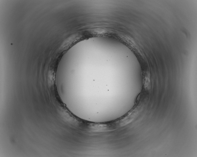 X0000111900476200908101144