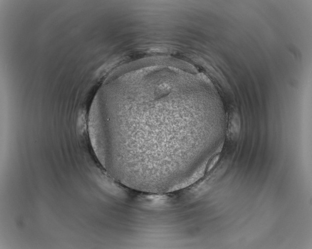 X0000111900478200908101144