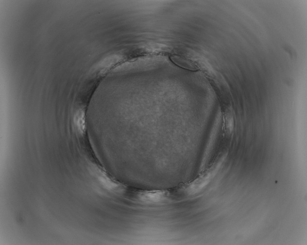 X0000111900479200908101144