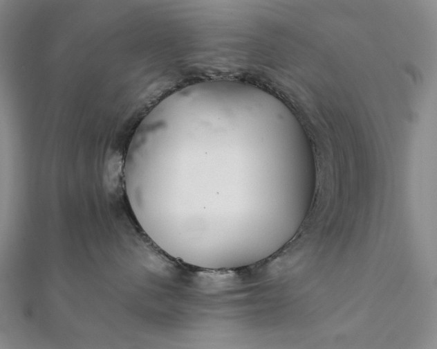 X0000111900480200908101144