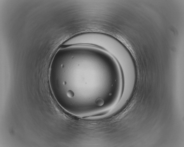 X0000111900481200908101143