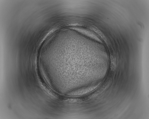 X0000111900482200908101143