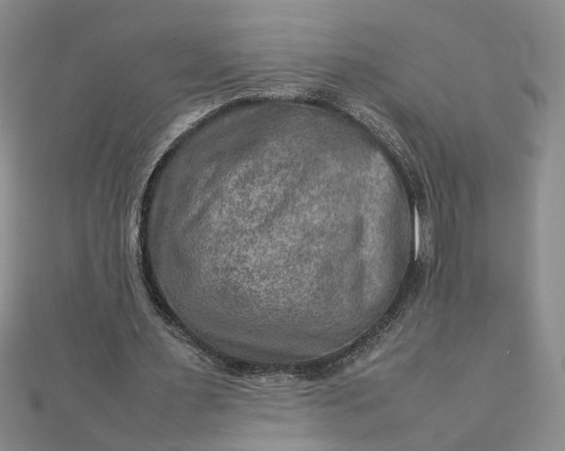 X0000111900483200908101143