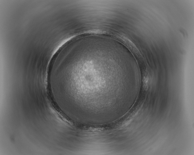 X0000111900484200908101143