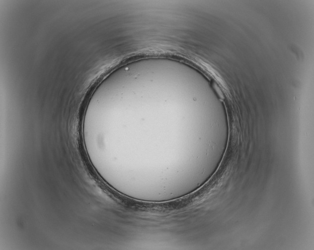 X0000111900485200908101143