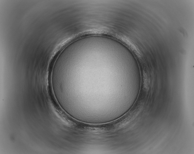 X0000111900486200908101143