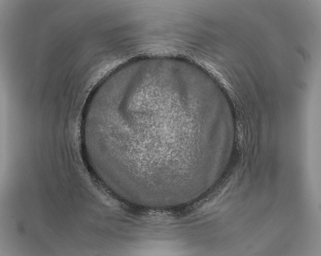 X0000111900487200908101143