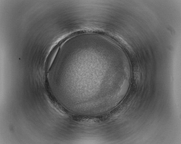 X0000111900488200908101143