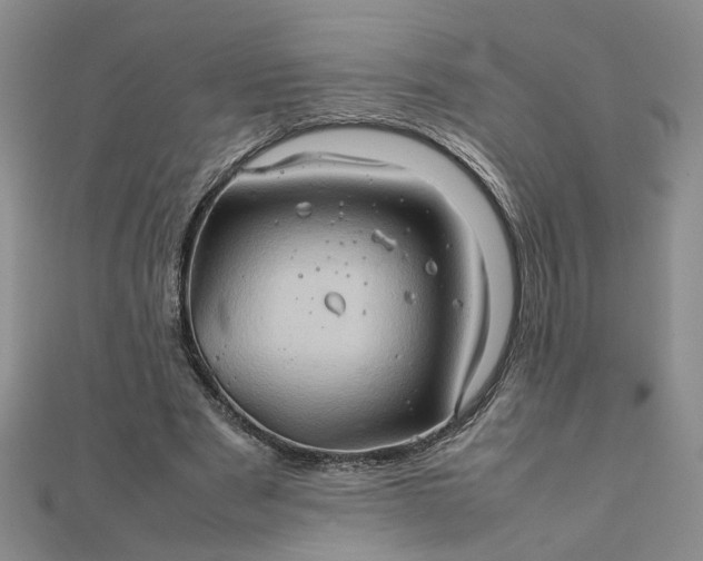 X0000111900489200908101143