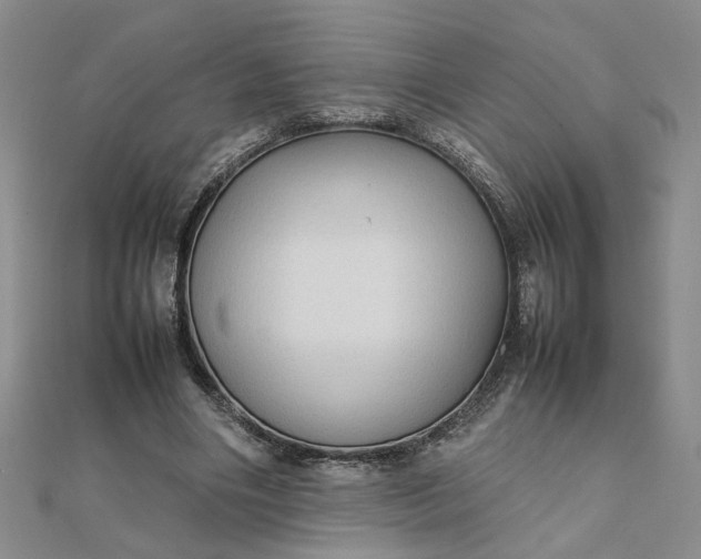 X0000111900490200908101143