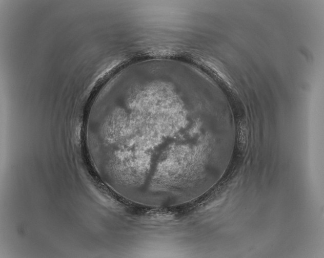 X0000111900491200908101143