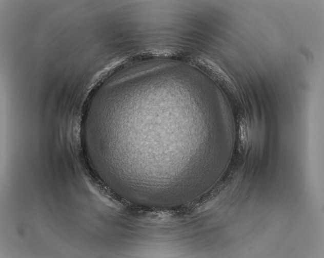 X0000111900492200908101143