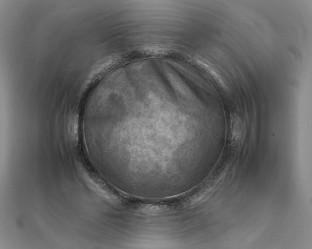 X0000111900494200908101143