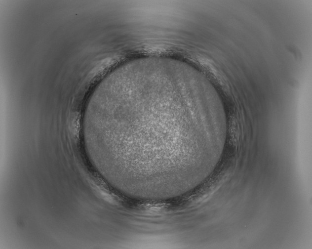 X0000111900495200908101143