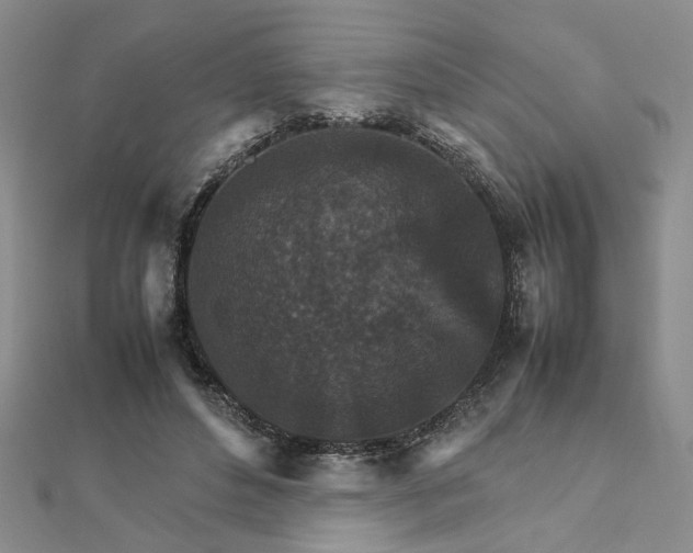 X0000111900496200908101143