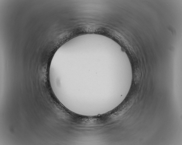 X0000111900497200908101143