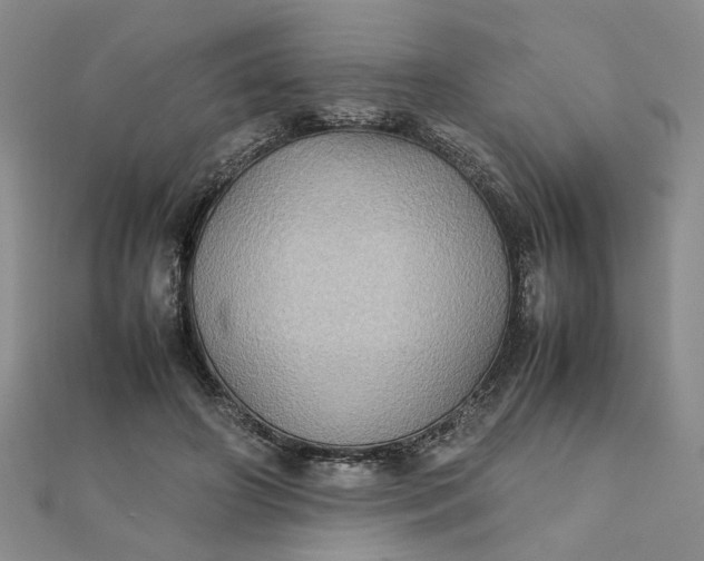 X0000111900498200908101143