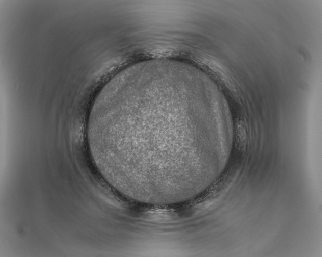 X0000111900499200908101143