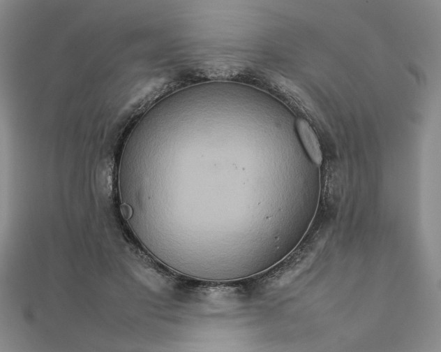 X0000111900501200908101143