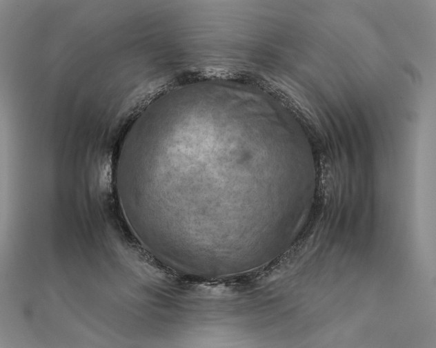 X0000111900502200908101143