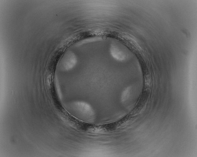 X0000111900503200908101143