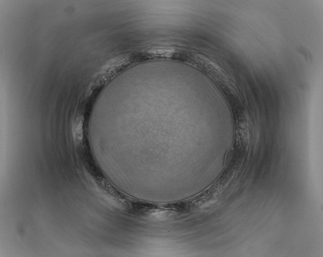 X0000111900504200908101143