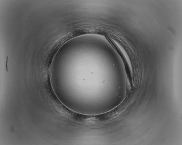 X0000111900505200908101143