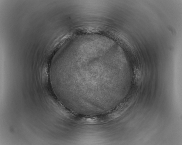 X0000111900506200908101143