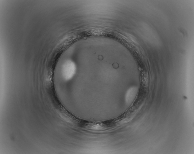 X0000111900507200908101143