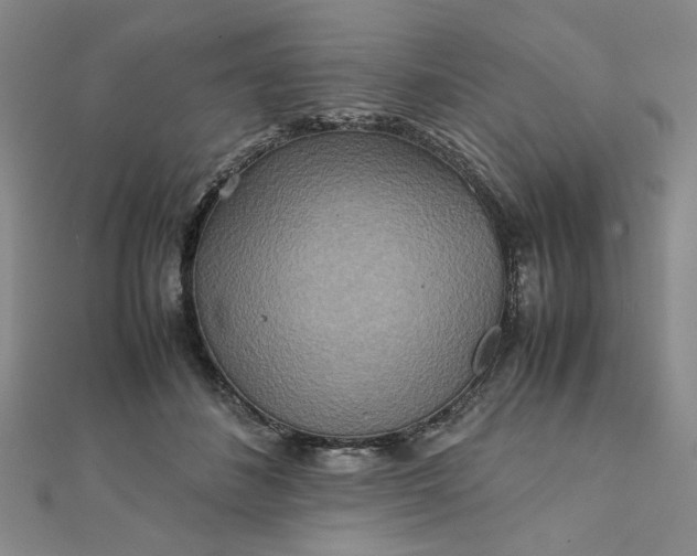 X0000111900508200908101143