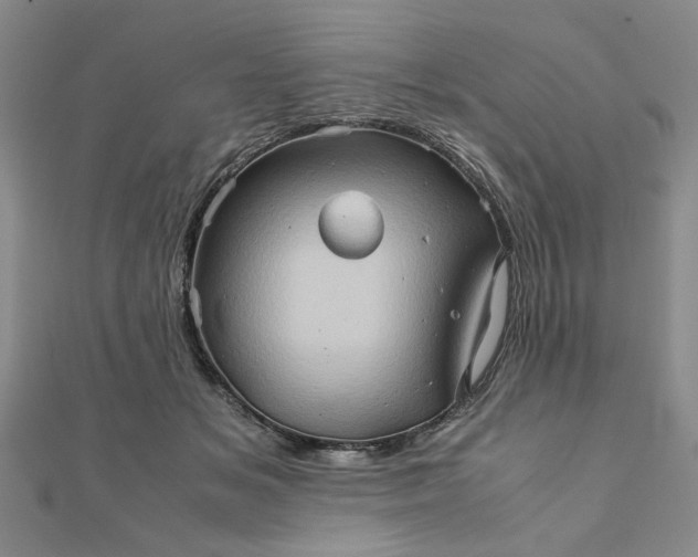 X0000111900509200908101143