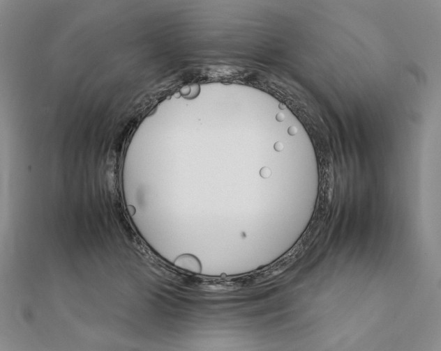 X0000111900510200908101143