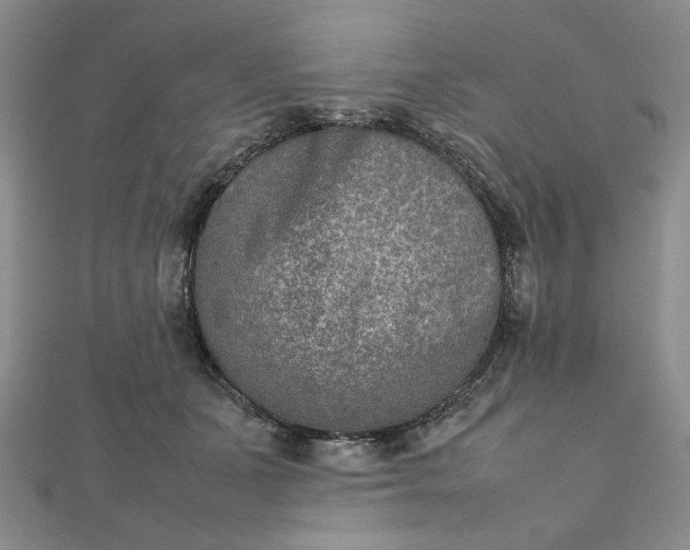 X0000111900511200908101143