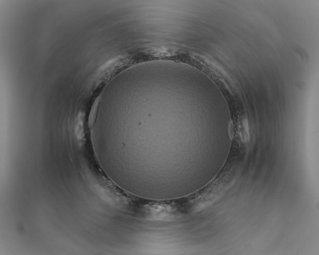 X0000111900512200908101143