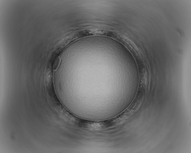 X0000111900513200908101143