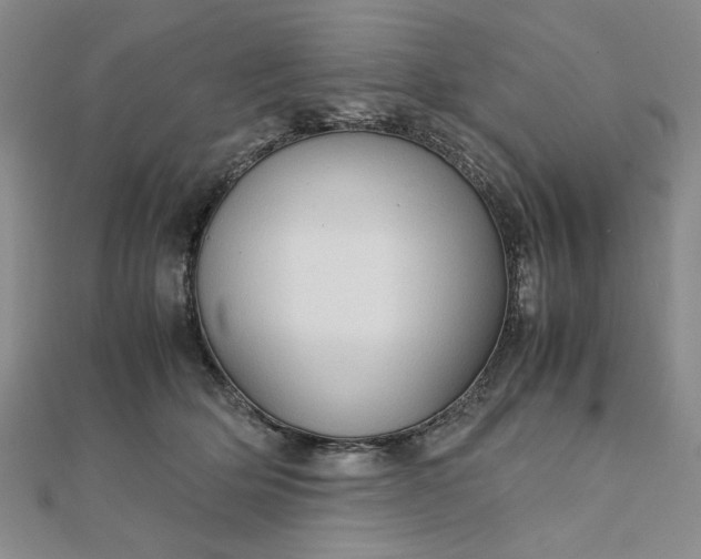 X0000111900514200908101143