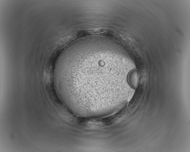 X0000111900515200908101143